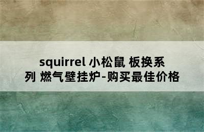 squirrel 小松鼠 板换系列 燃气壁挂炉-购买最佳价格